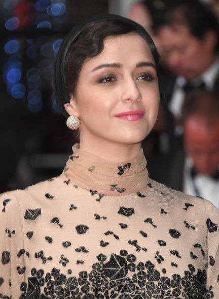 مستند ترانه